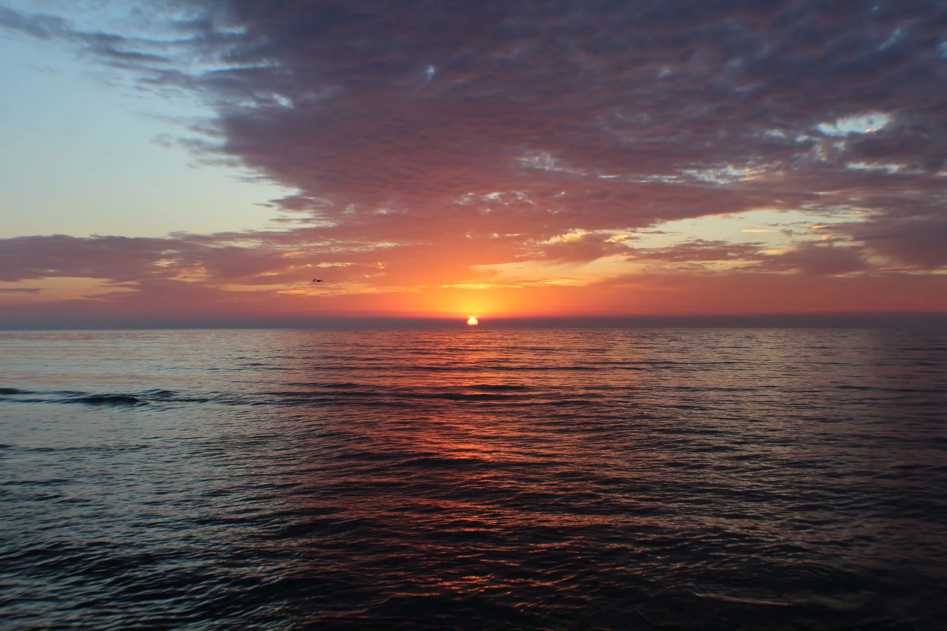 Buque granelero en el mar al amanecer