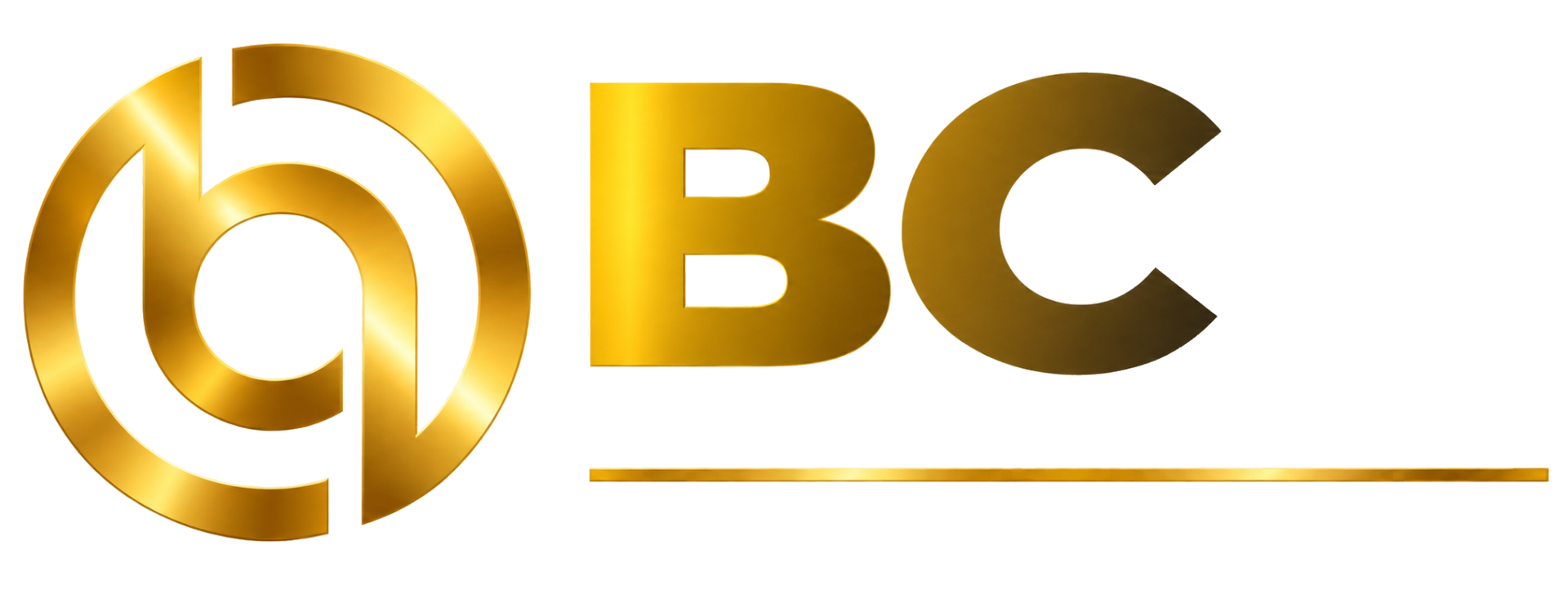BCP International Corporation SAS — Business & Mining Investments Group